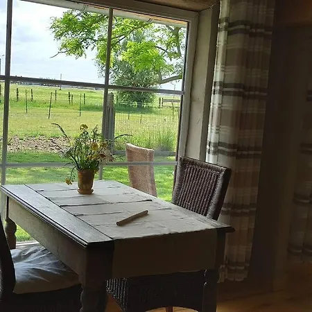 Korentil . Cosy House With Private Garden De Haan Exterior photo