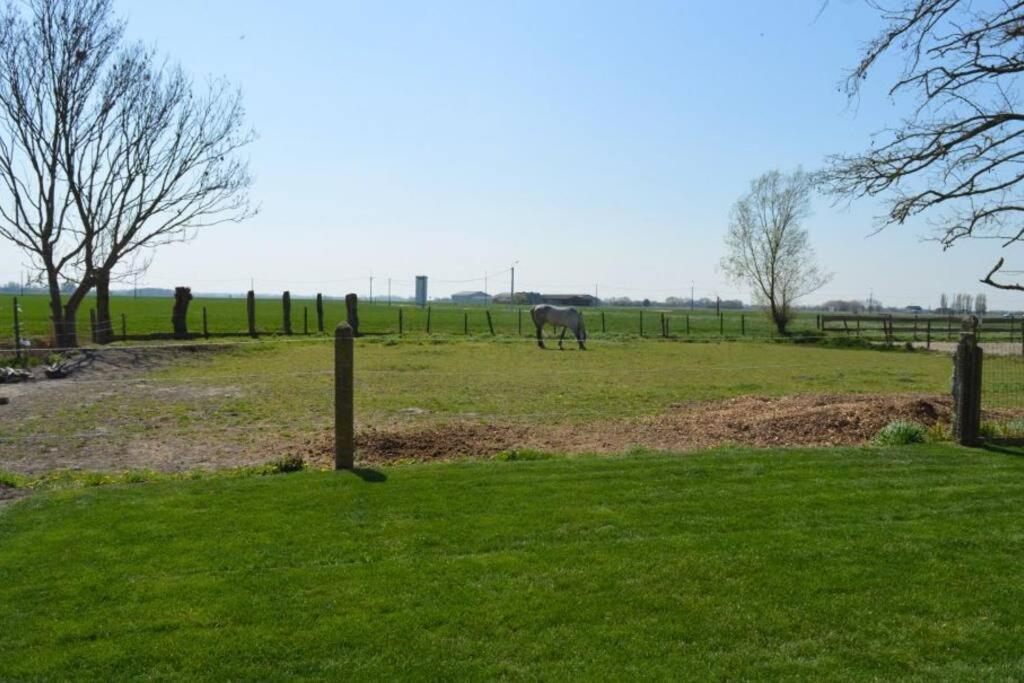 Korentil . Cosy House With Private Garden * De Haan
